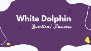 White Dolphin By Gill Lewis (Questions/Answers Chapters 19-22)