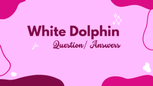 White Dolphin By Gill Lewis (Questions/Answers Chapters 23-24)