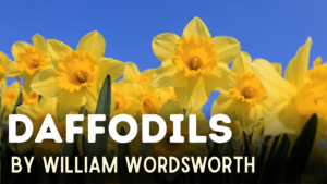 Daffodils By William Wordsworth – Summary + Explanation