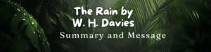 Summary of The Rain by W. H. Davies