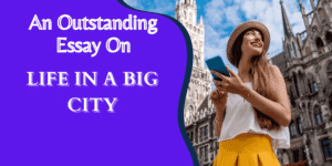 An Outstanding Essay on Life in a Big City